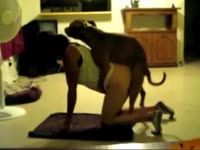 Sexy teen homemade beastiality sex with dog